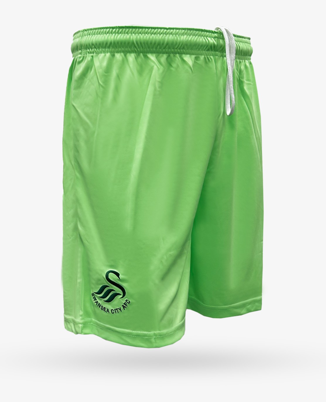 Swansea City 2024-25 GK 1 Kit