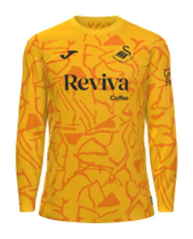 Swansea City 2024-25 GK 3 Kit