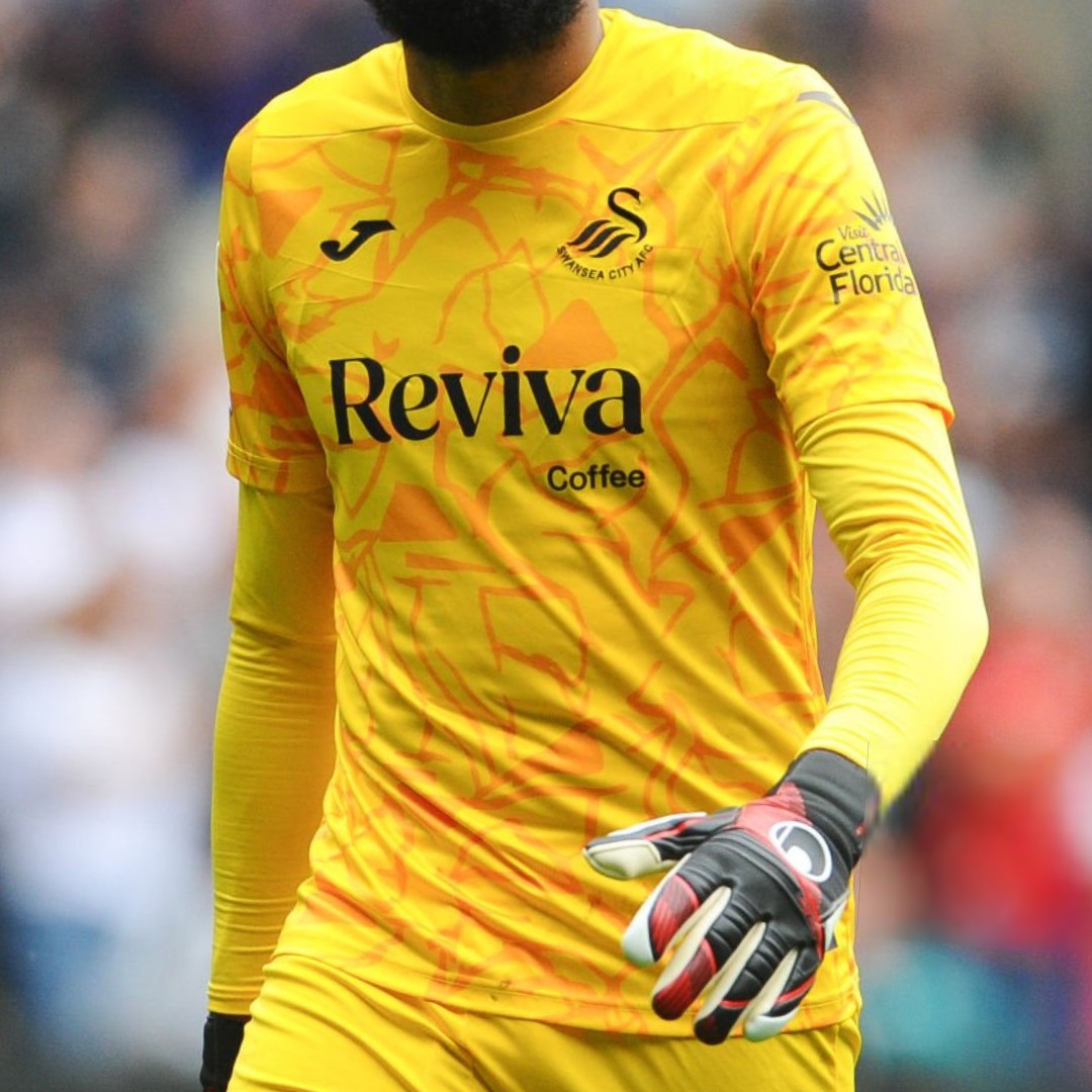 Swansea City 2024-25 GK 3 Kit