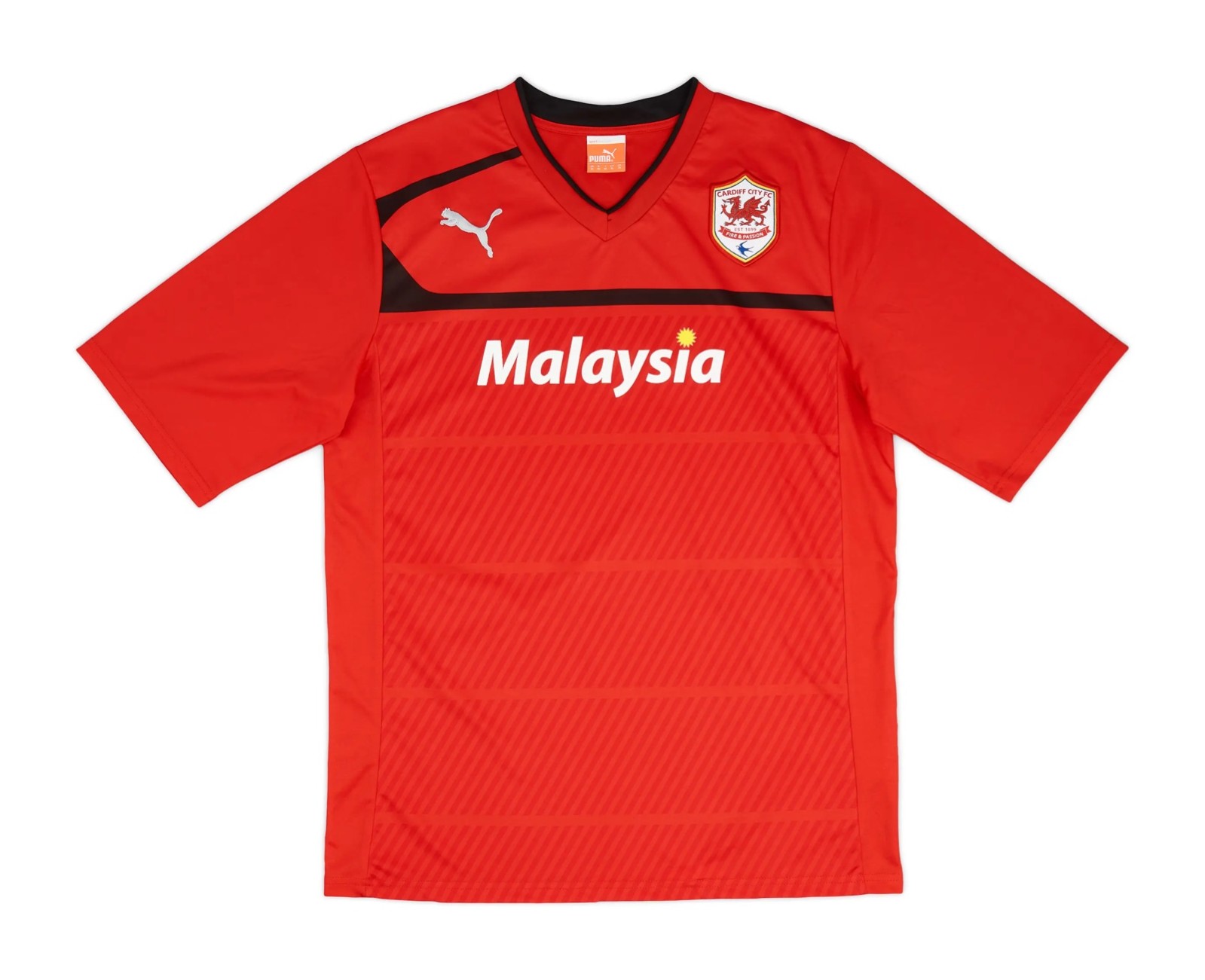 Cardiff City 2012-13 Home Kit
