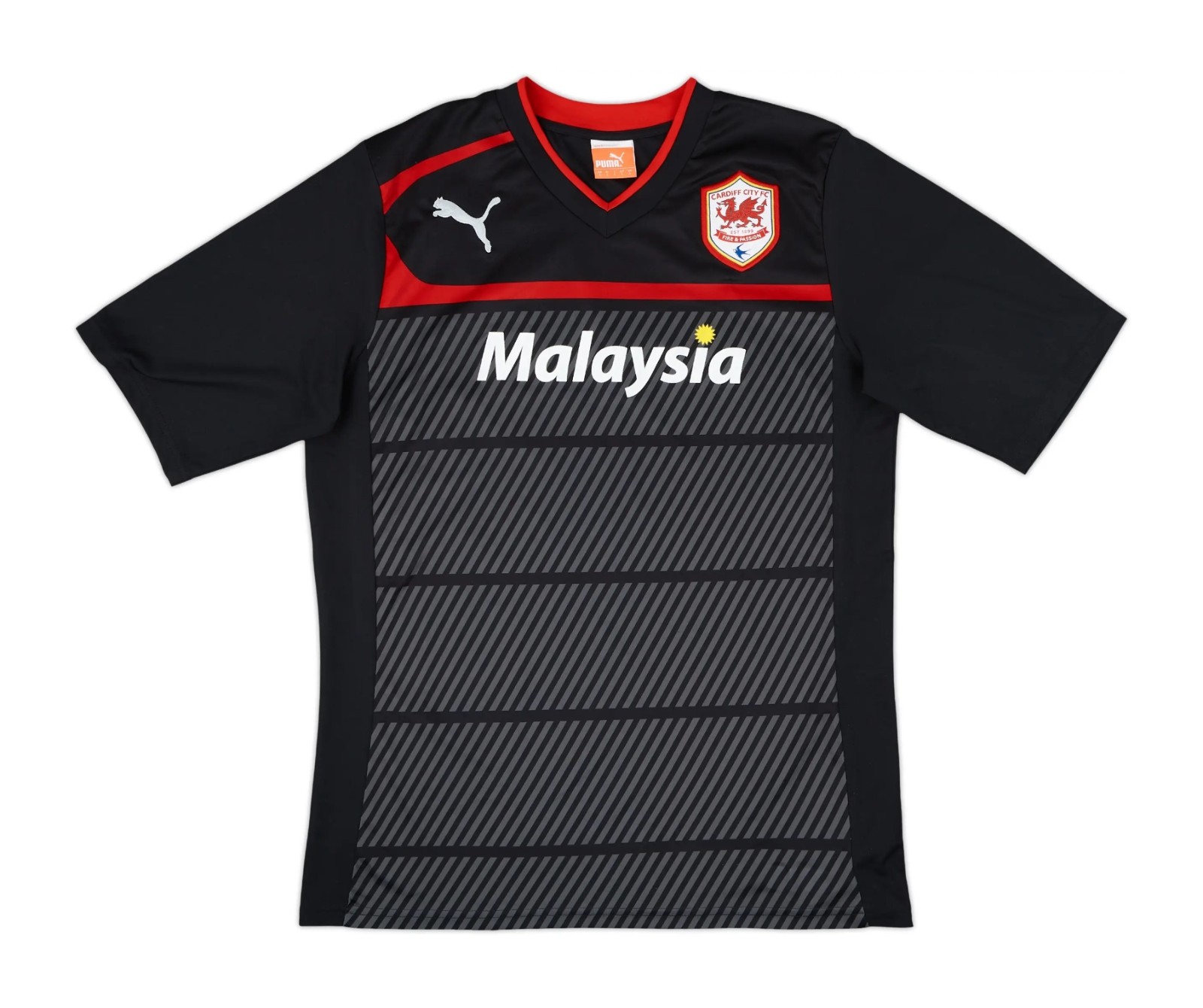 Cardiff City 2012-13 Third Kit