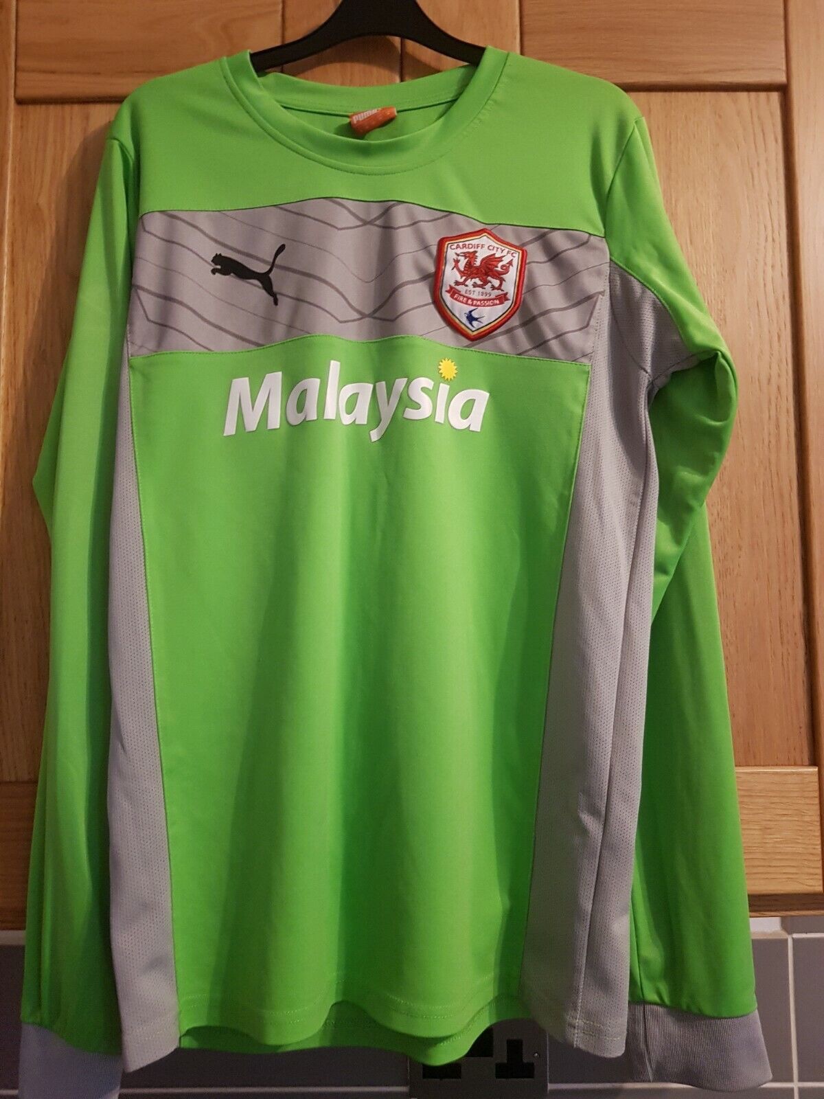Cardiff City 2012-13 GK 1 Kit