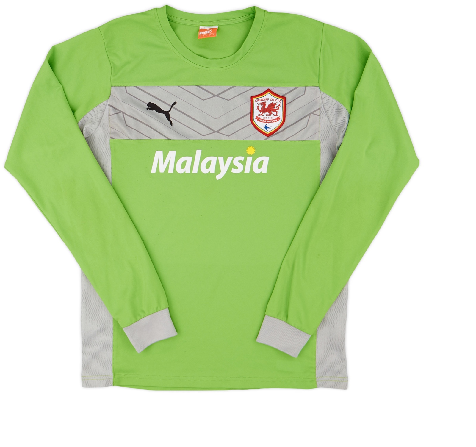 Cardiff City 2012-13 GK 1 Kit