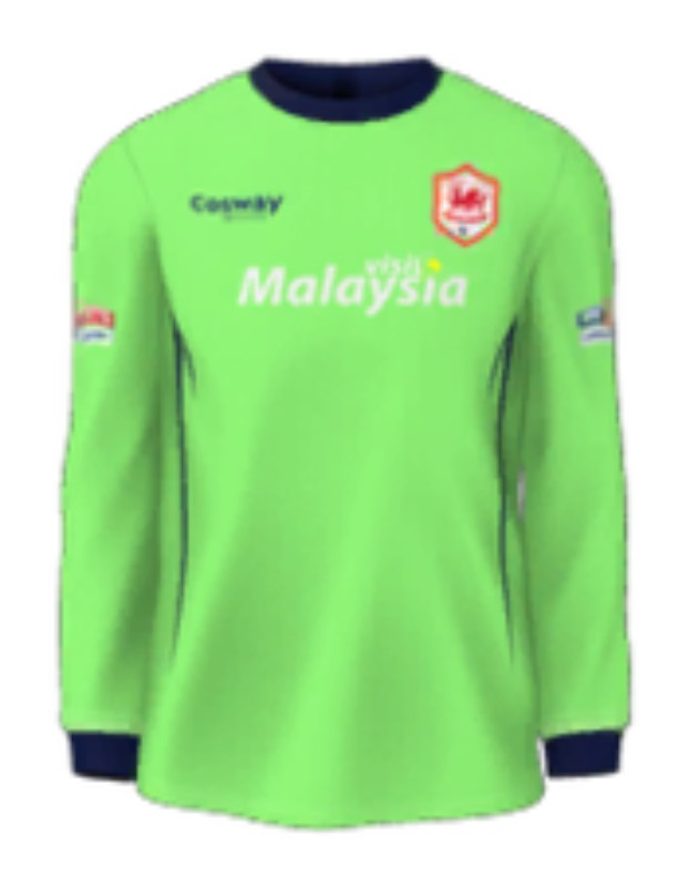 Cardiff City 2014-15 GK 1 Kit