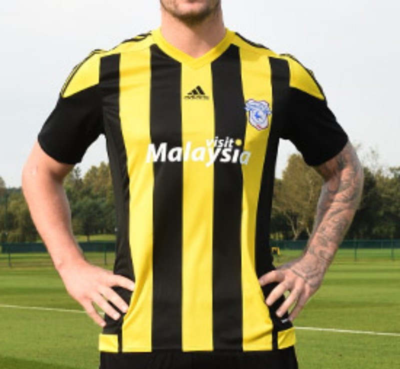 Cardiff City 2015-16 Third Kit