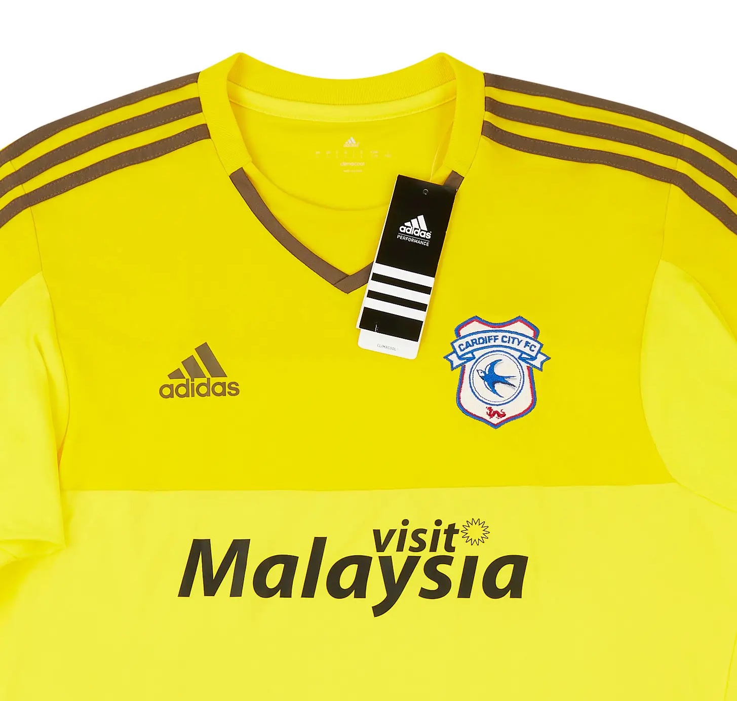 Cardiff City 2015-16 GK 1 Kit