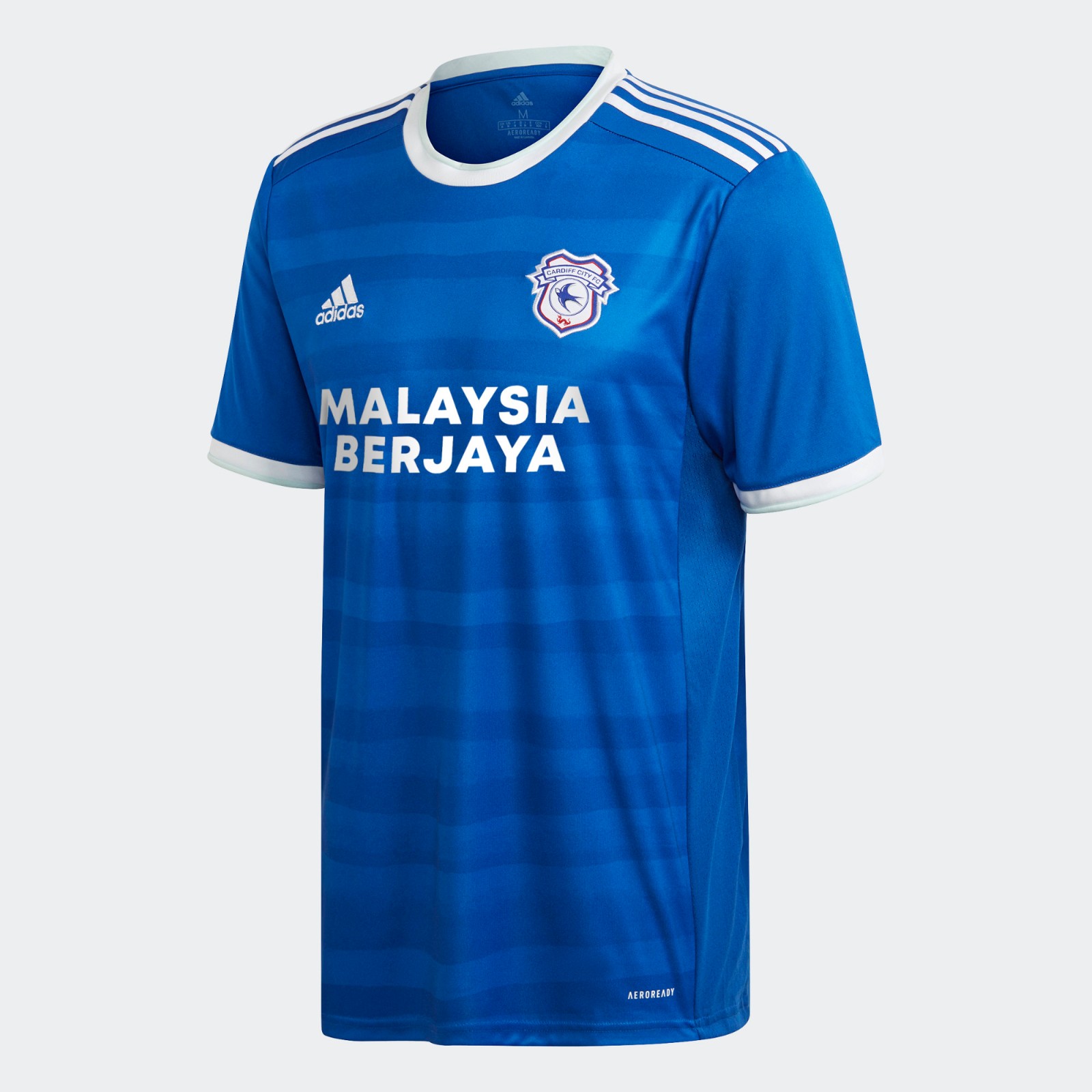 Cardiff City 2020-21 Home Kit