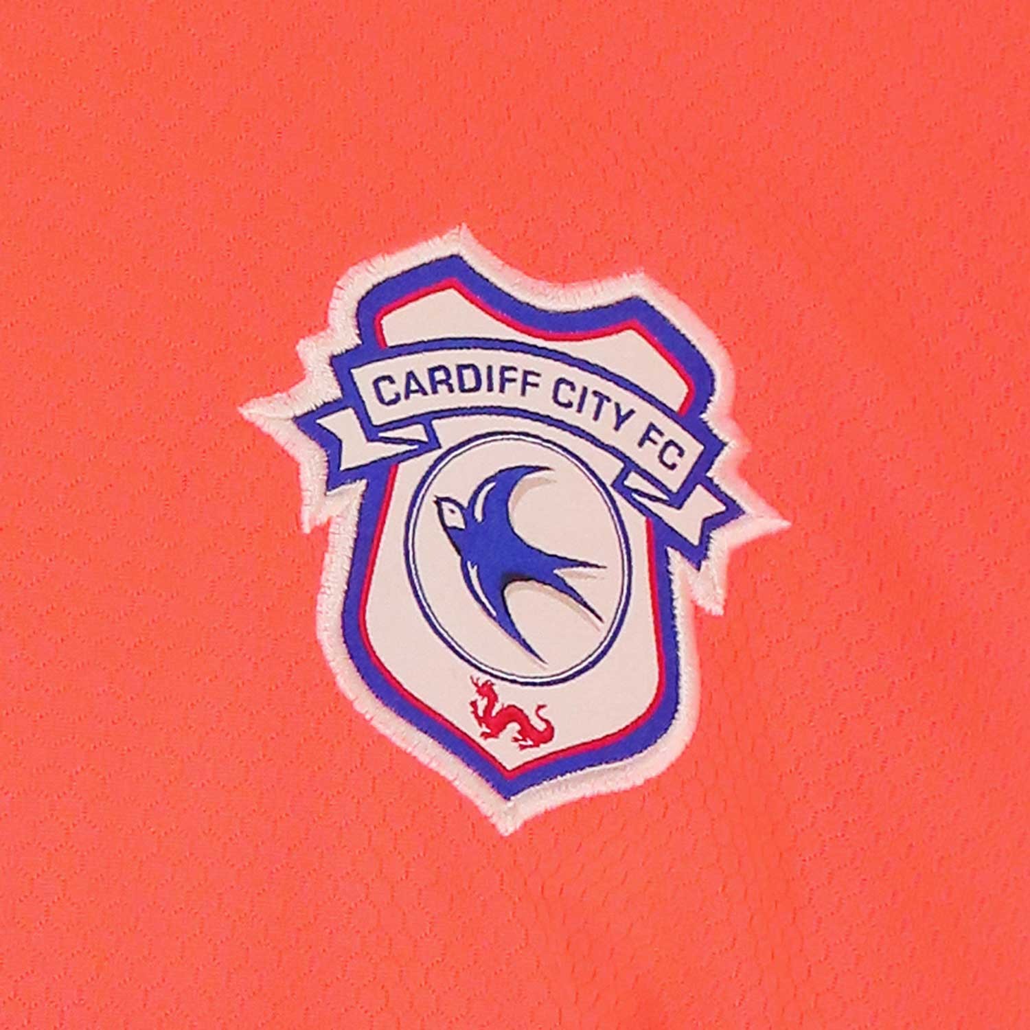 Cardiff City 2020-21 GK 1 Kit