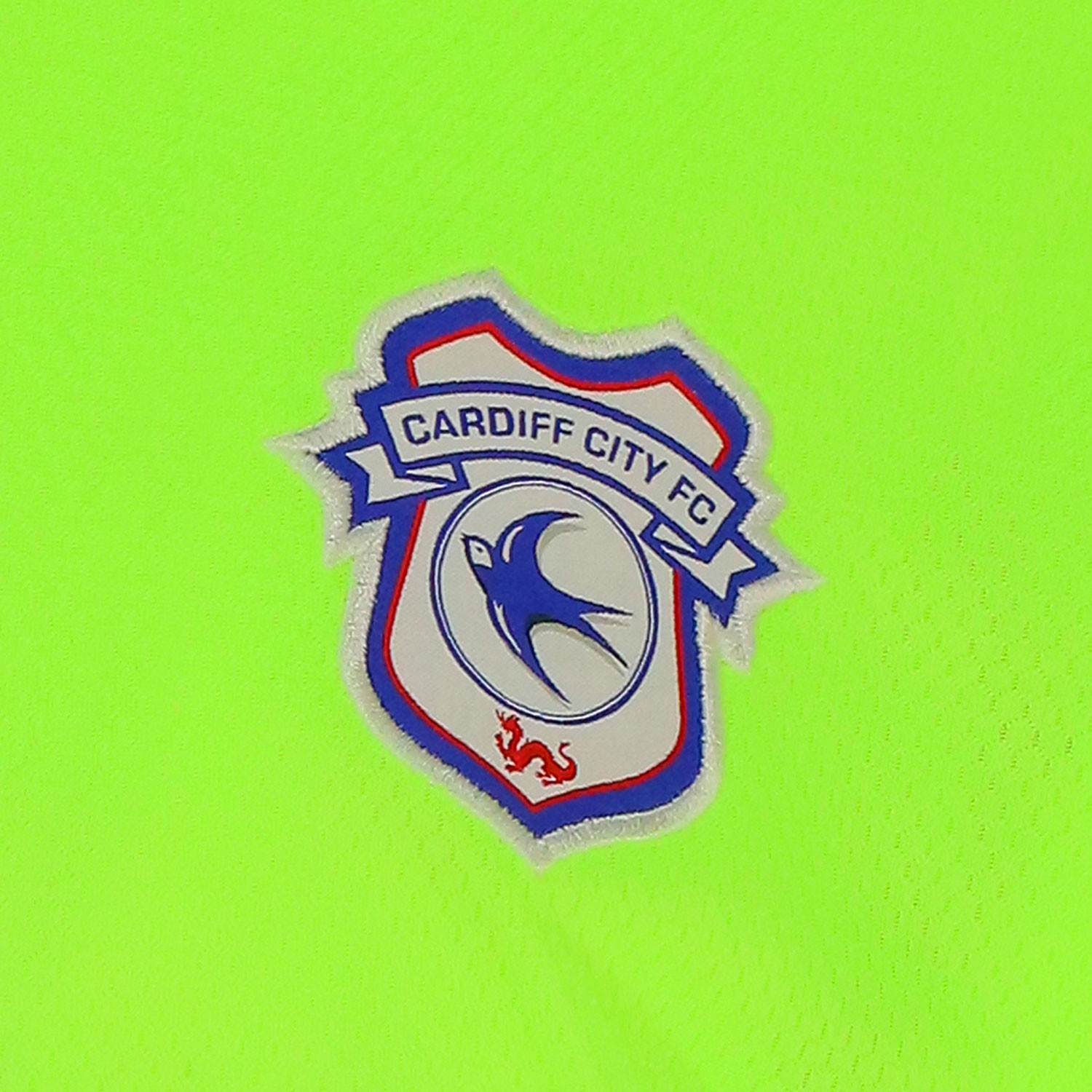Cardiff City 2020-21 GK 2 Kit