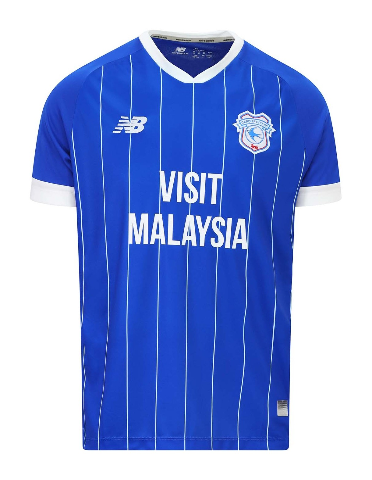 Cardiff City 2025-26 Home Kit