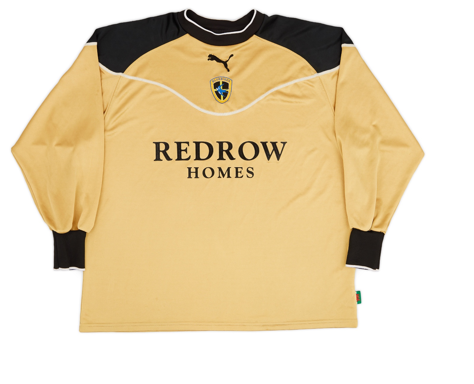 Cardiff City 2004-05 GK 1 Kit