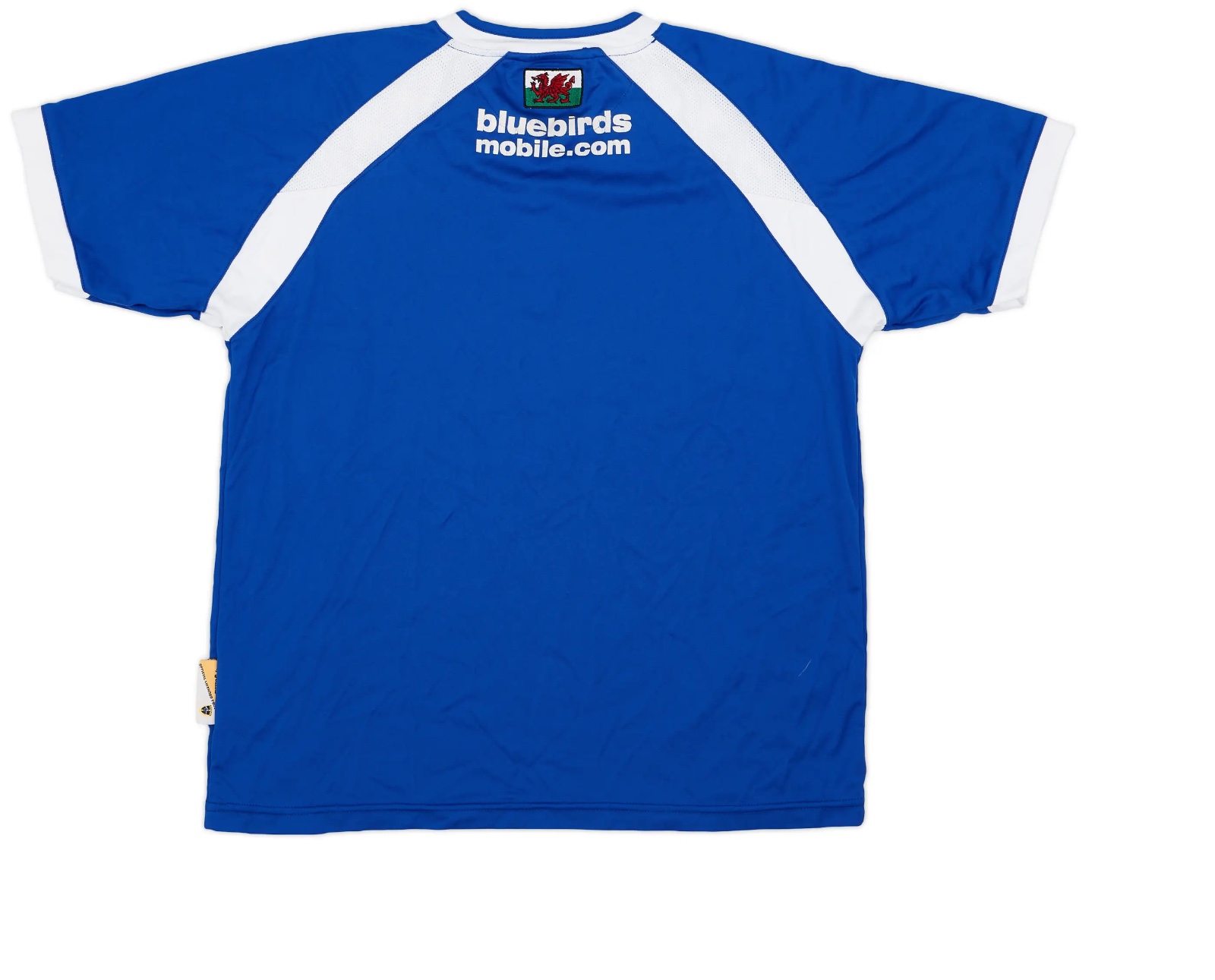 Cardiff City 2006-07 Home Kit
