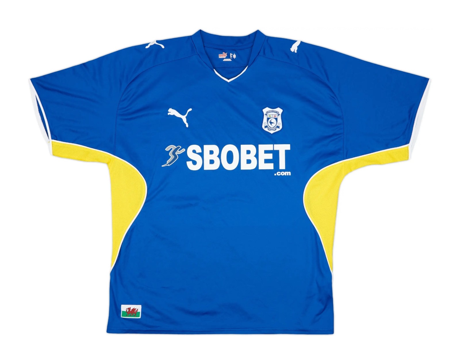 Cardiff City 2009-10 Home Kit