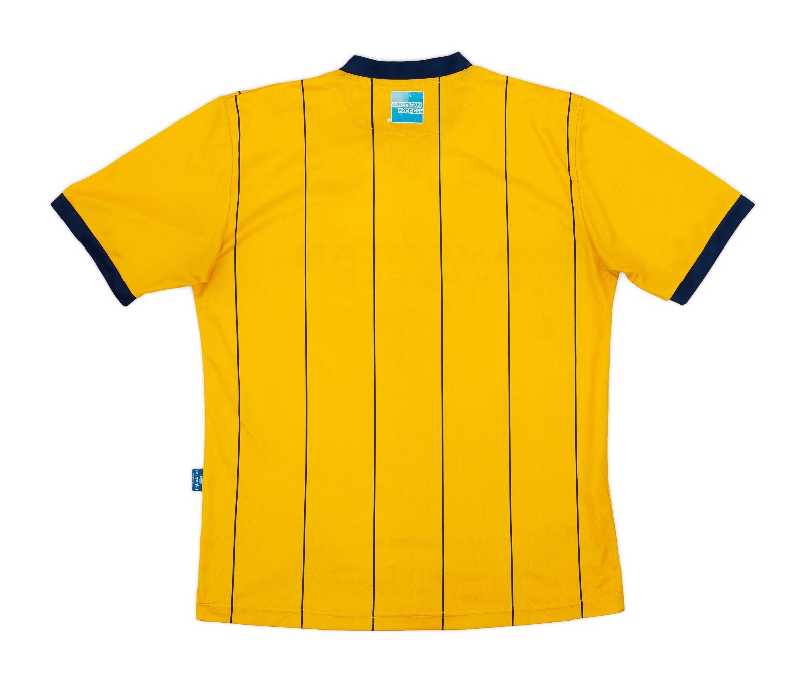 Brighton & Hove Albion 2013-14 Away Kit