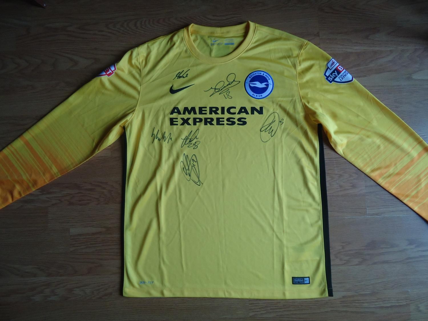 Brighton & Hove Albion 2015-16 GK 2 Kit