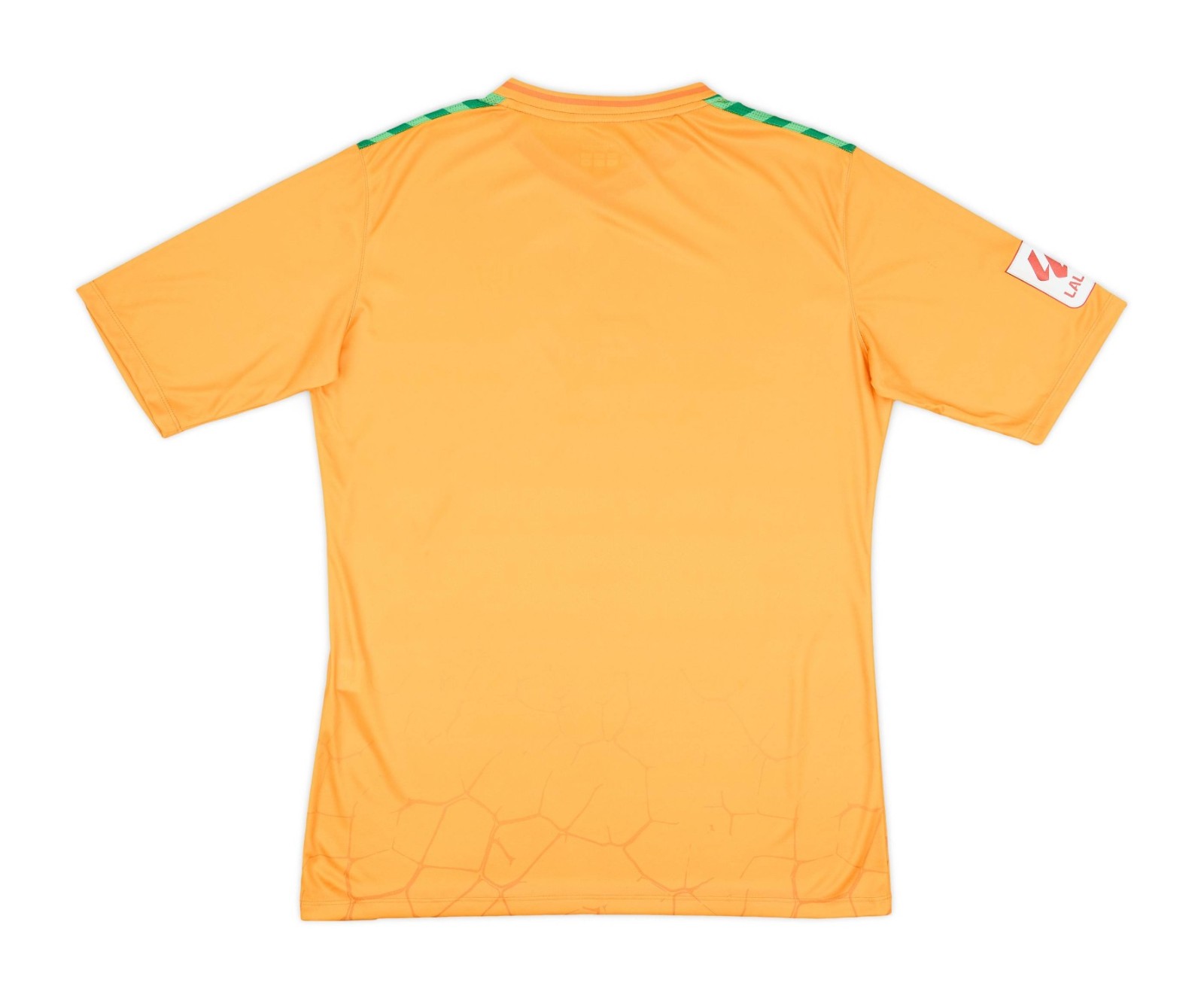 Real Betis 2023-24 GK Sustainabality Kit