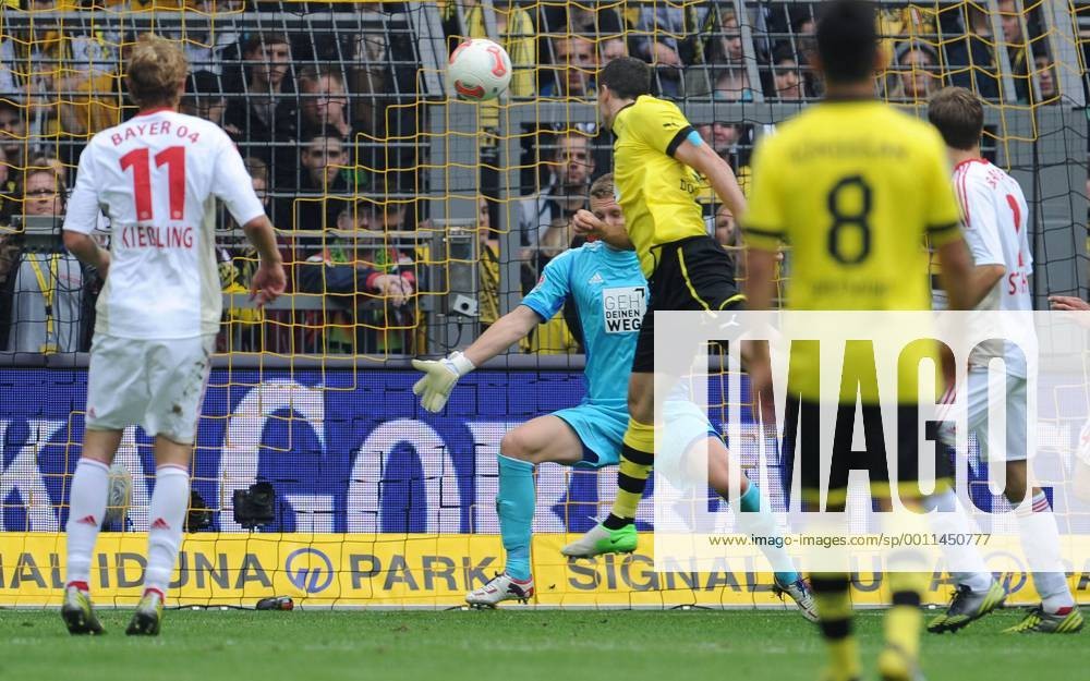 Bayer 04 Leverkusen 2012-13 GK 2 V2 Kit