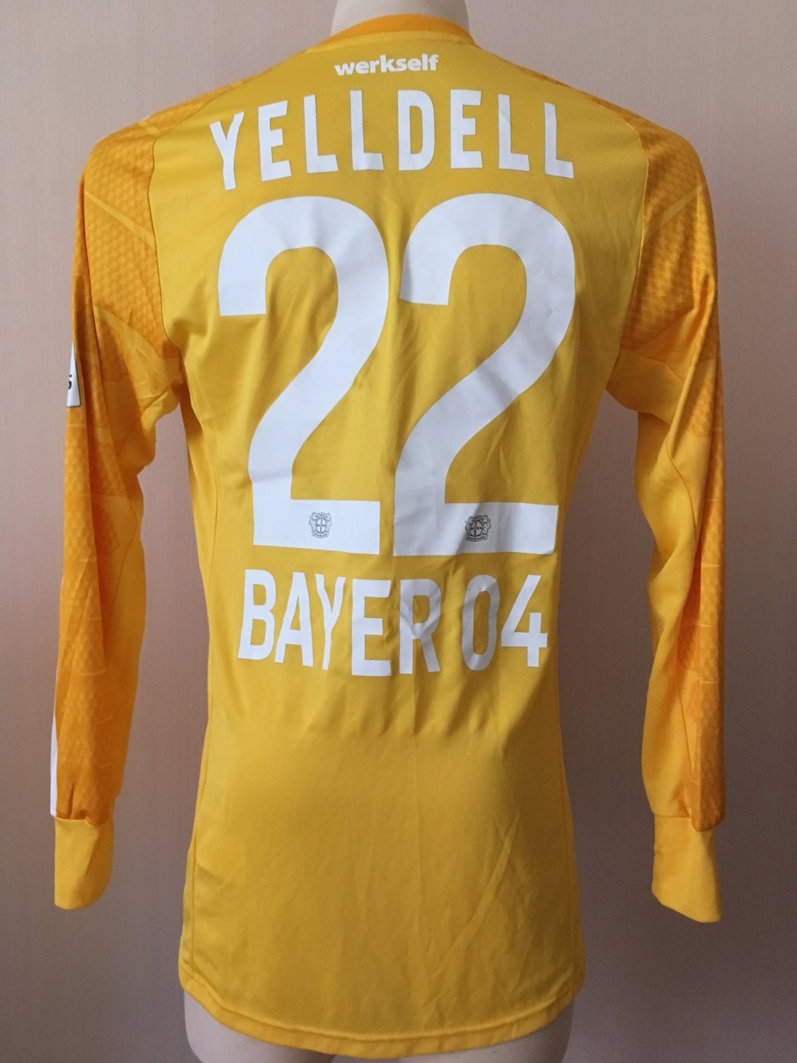 Bayer 04 Leverkusen 2014-15 GK Kit