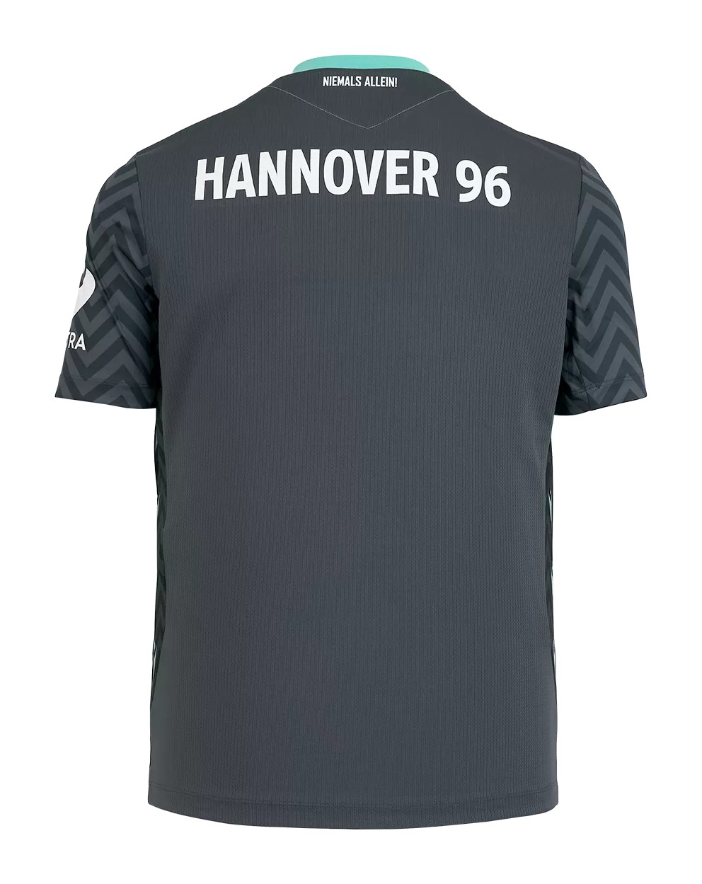 Hannover 96 2024-25 GK 2 Kit