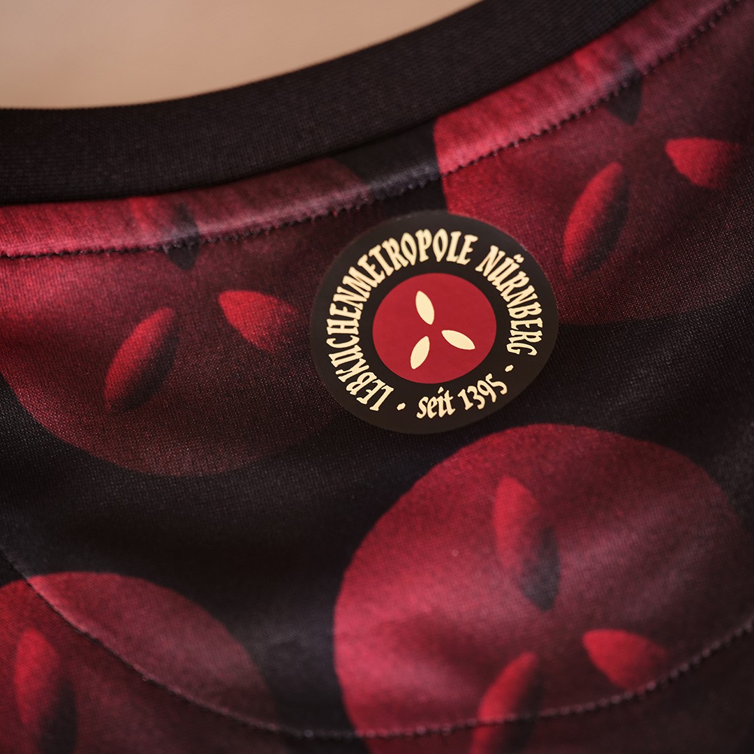 1. FC Nürnberg 2020-21 Special Kit