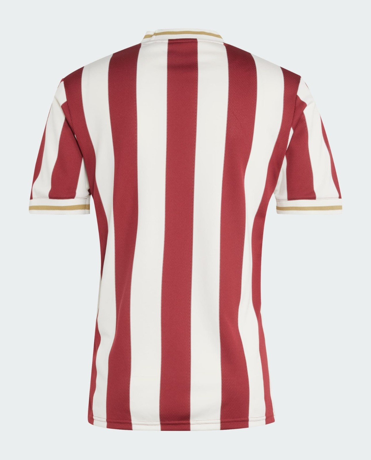 1. FC Nürnberg 2024-25 Anniversary Kit