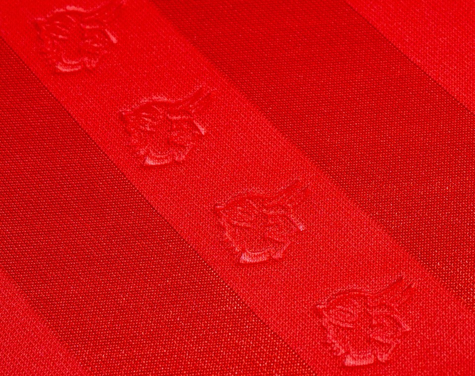 1. FC Kaiserslautern 2020-21 Home Kit