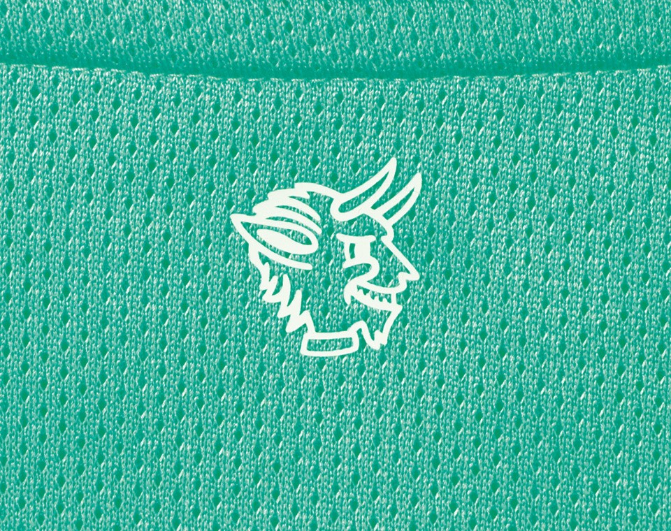 1. FC Kaiserslautern 2020-21 Third Kit