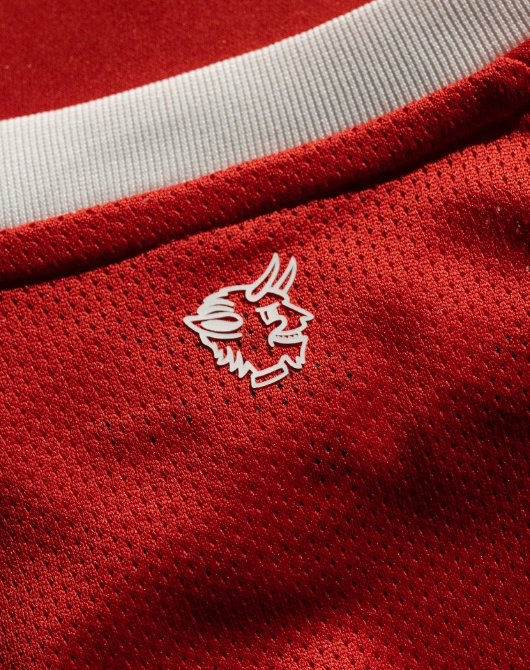 1. FC Kaiserslautern 2021-22 Home Kit