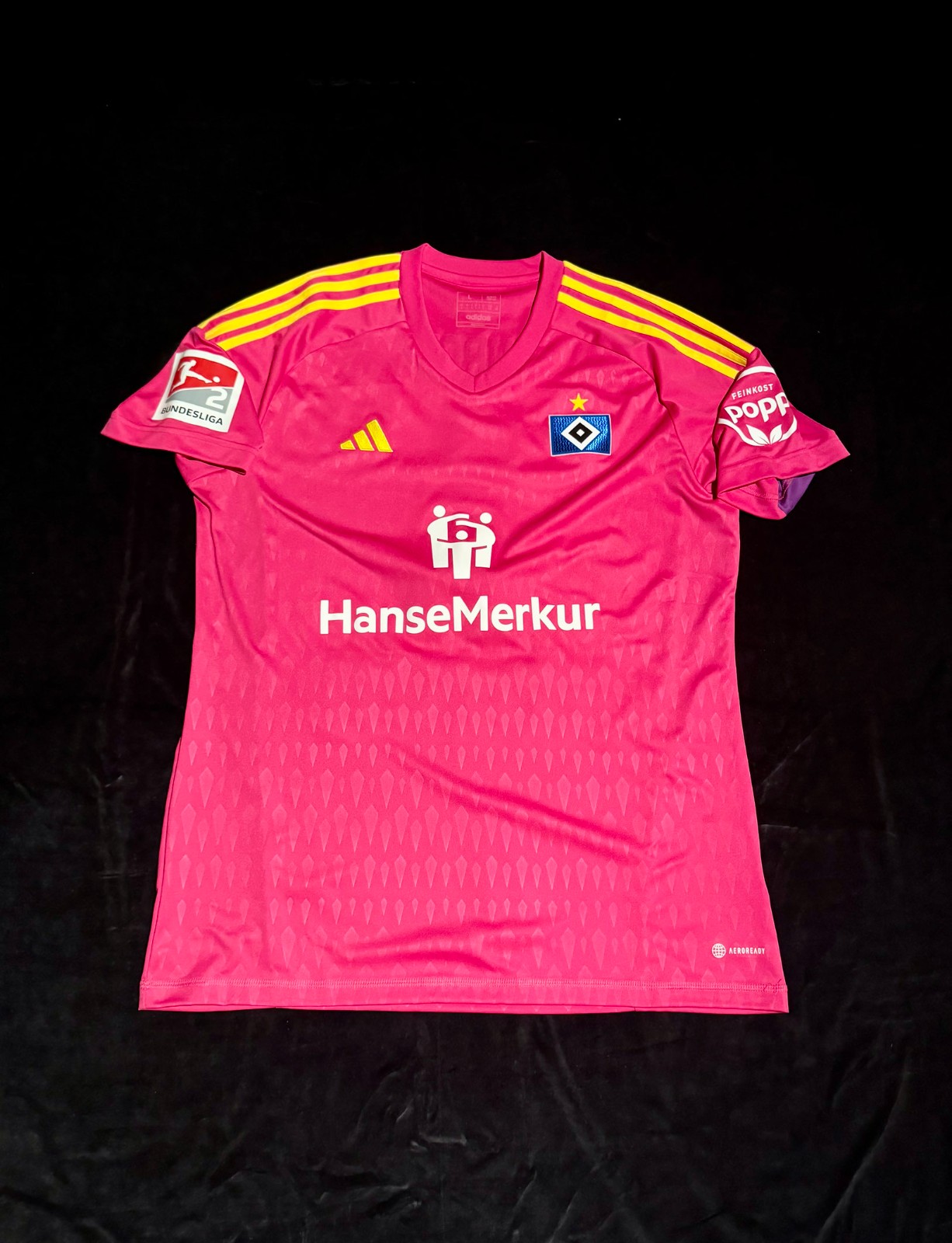 Hamburger SV 2023-24 GK 4 Kit