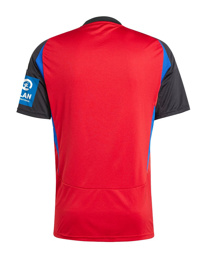 Hamburger SV 2024-25 Third Kit