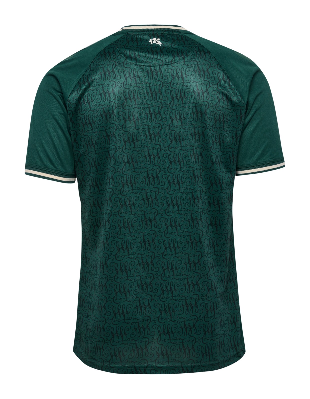 Werder Bremen 2023-24 Anniversary Kit