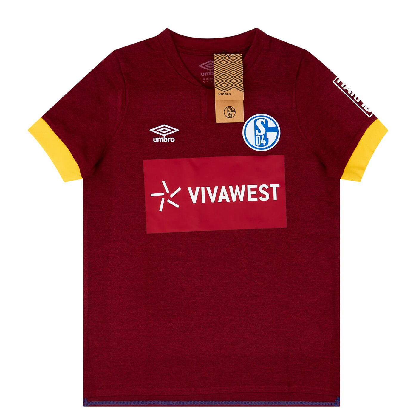 Schalke 04 2021-22 Third V3 Kit