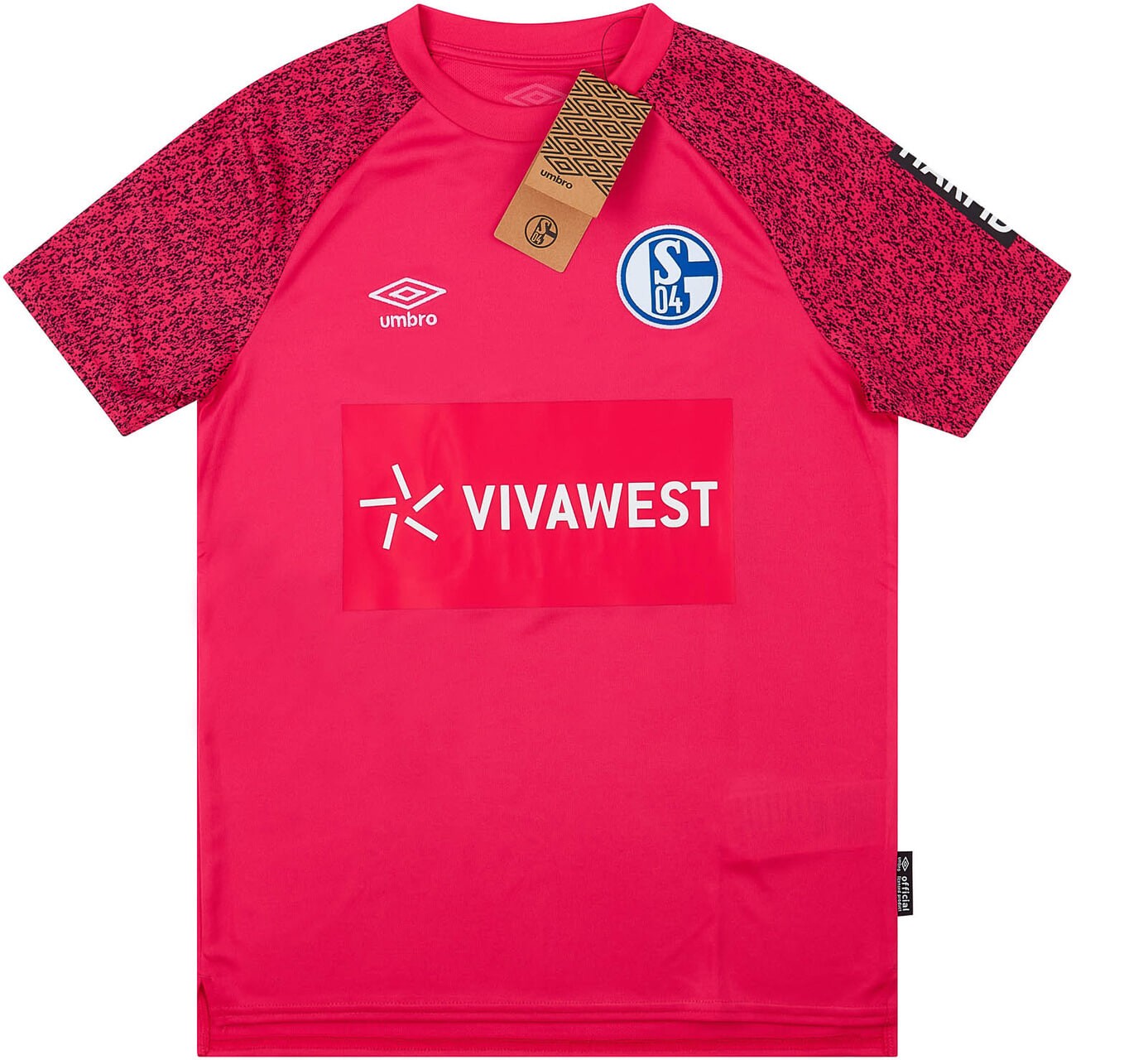 Schalke 04 2021-22 GK 1 V2 Kit