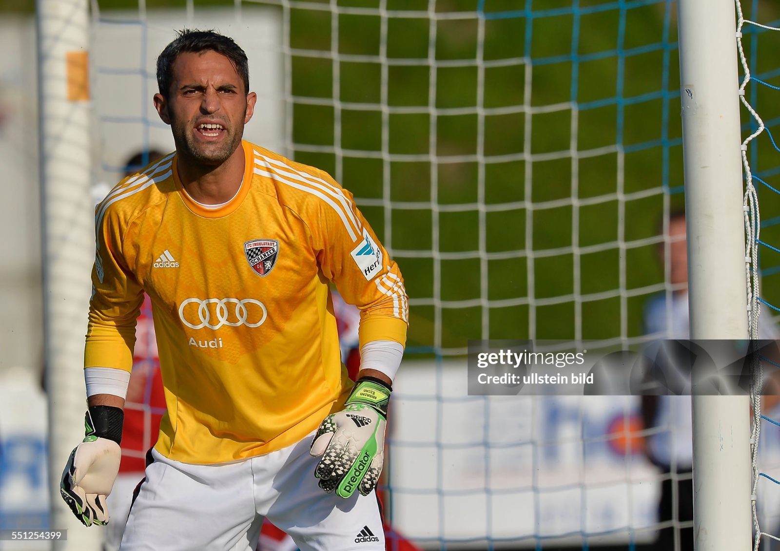 FC Ingolstadt 2014-15 GK 3 Kit