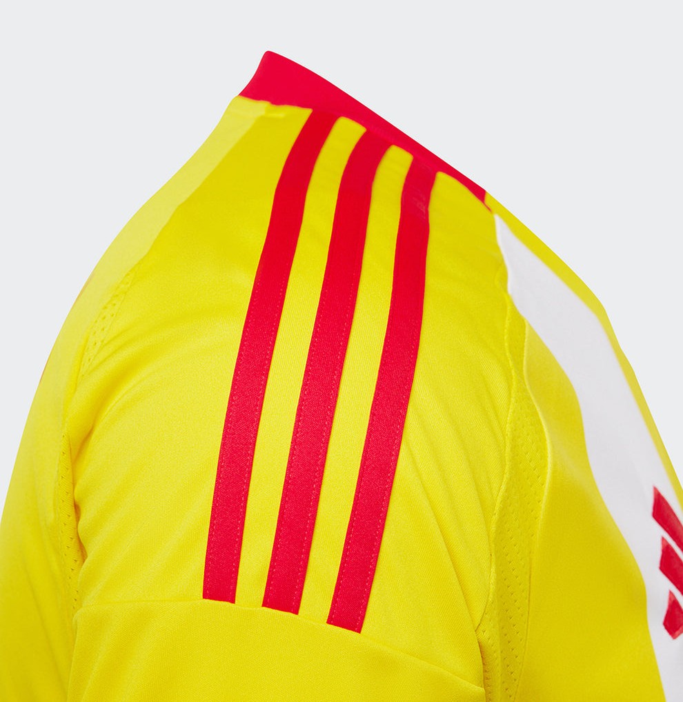 Union Berlin 2024-25 Third V2 Kit