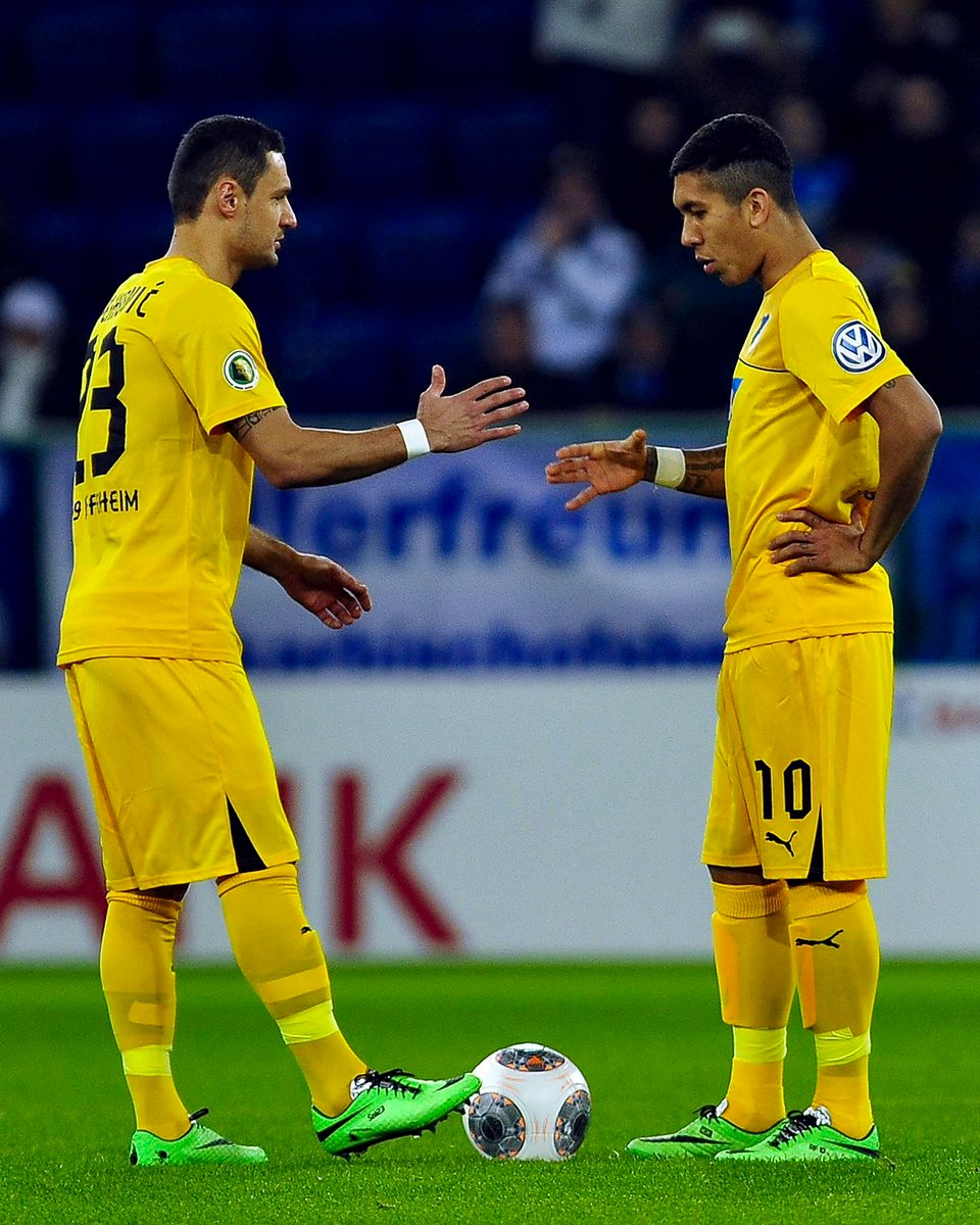 TSG 1899 Hoffenheim 2013-14 Fourth Kit