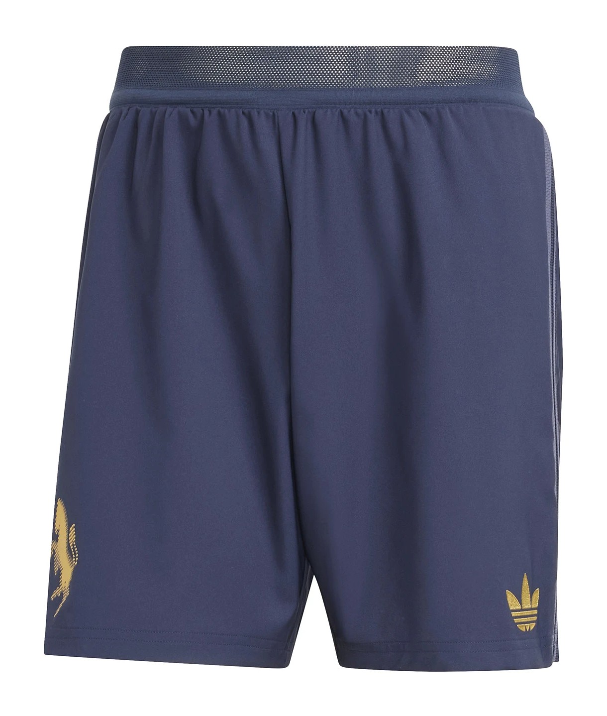 Juventus FC 2024-25 Third Kit