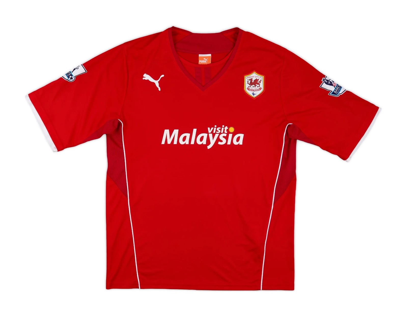 Cardiff City 2013-14 Home Kit