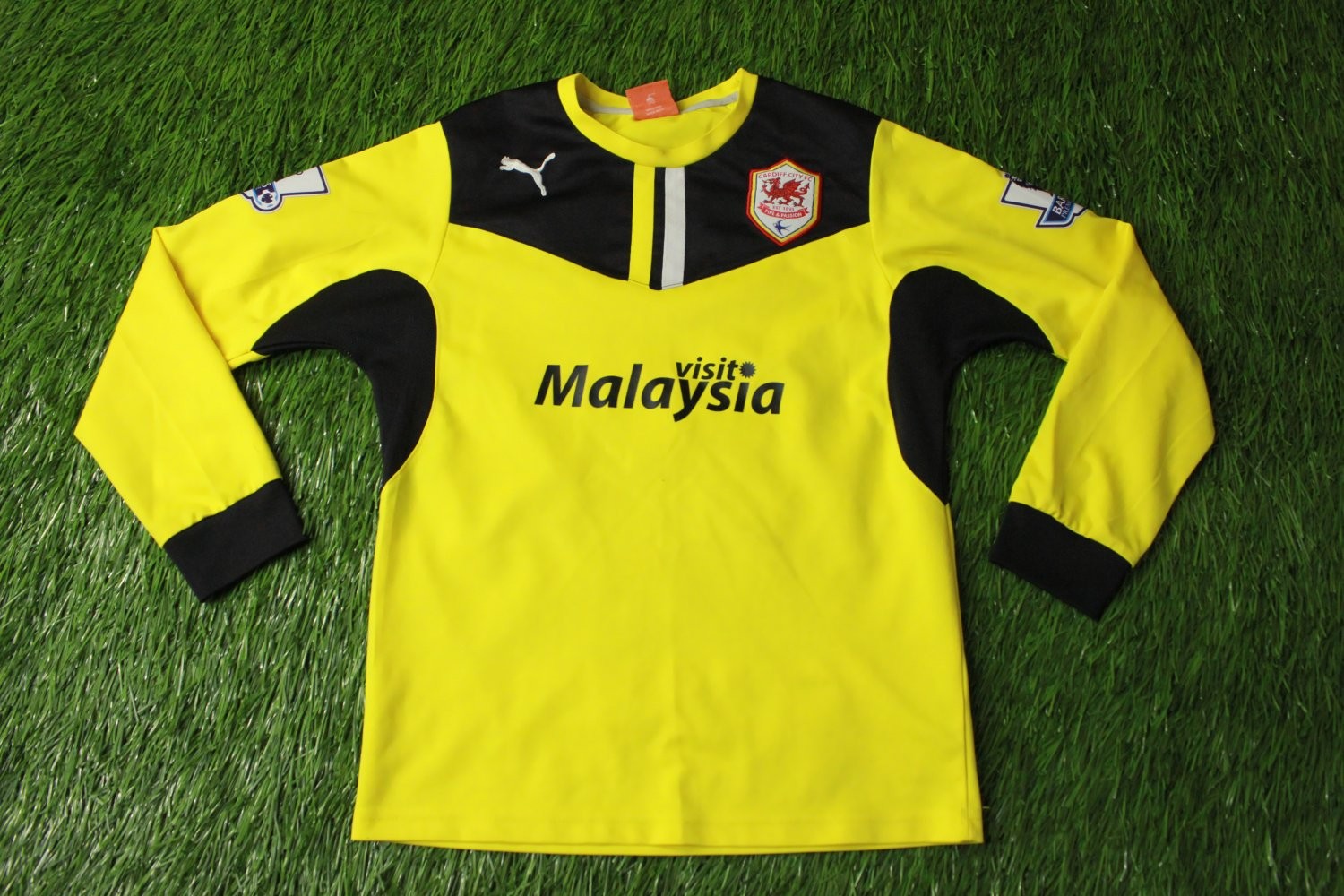 Cardiff City 2013-14 GK Home Kit