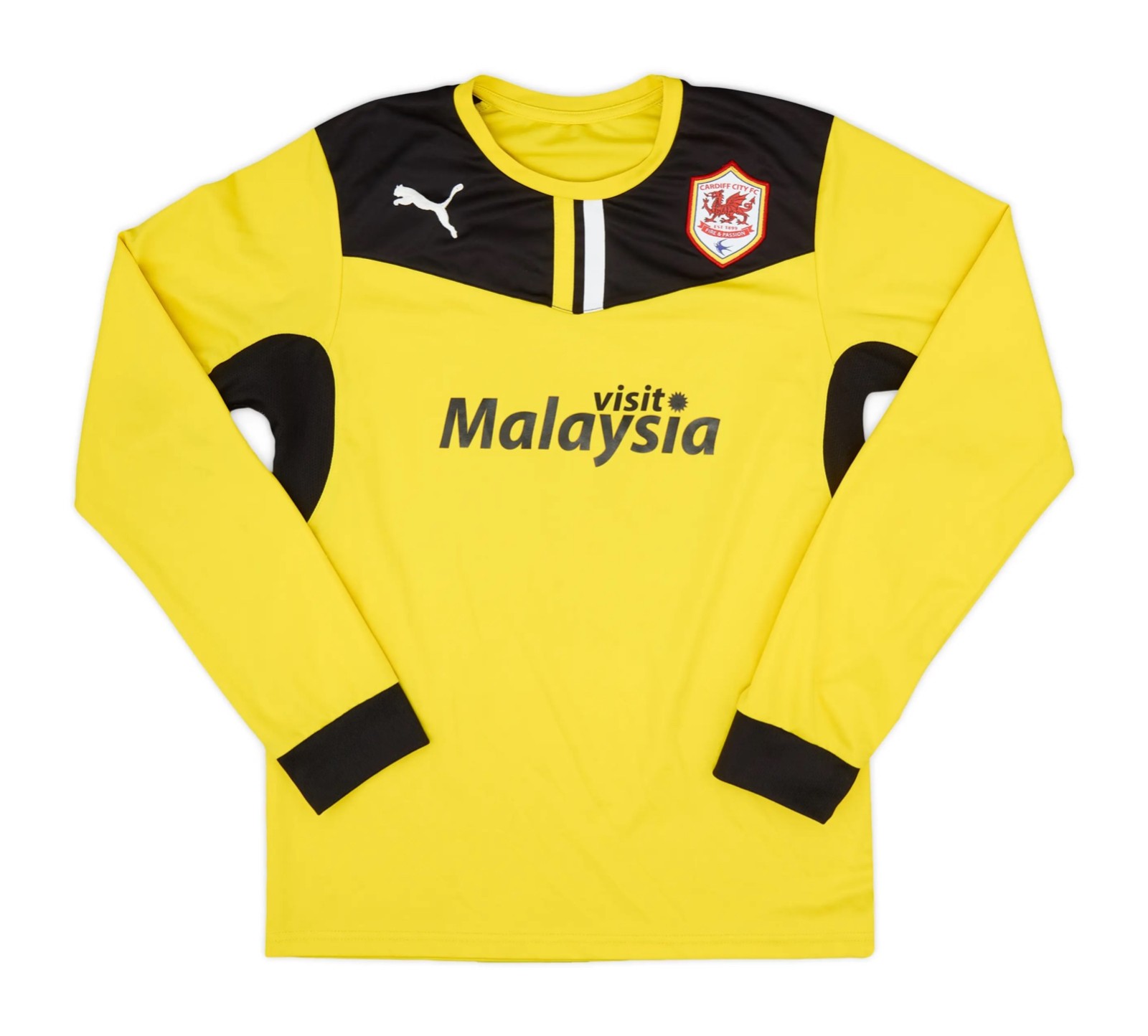 Cardiff City 2013-14 GK Home Kit