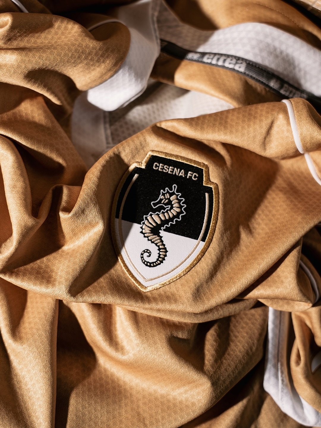 AC Cesena 2025-26 Third Kit
