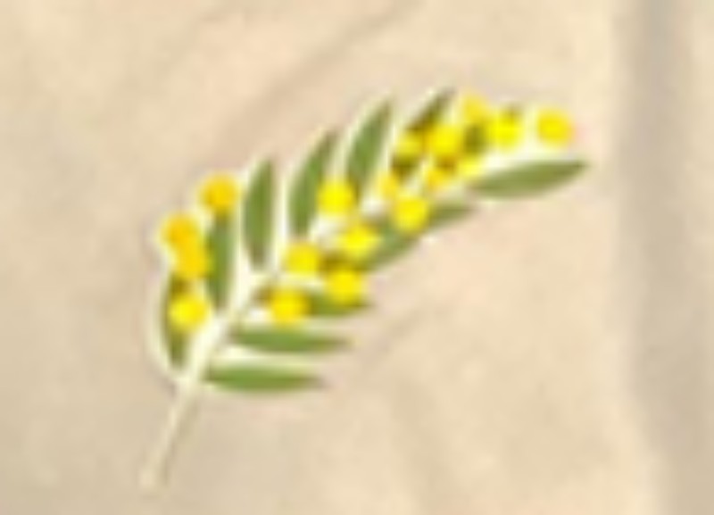 Brescia Calcio 2024-25 Home V2 Kit