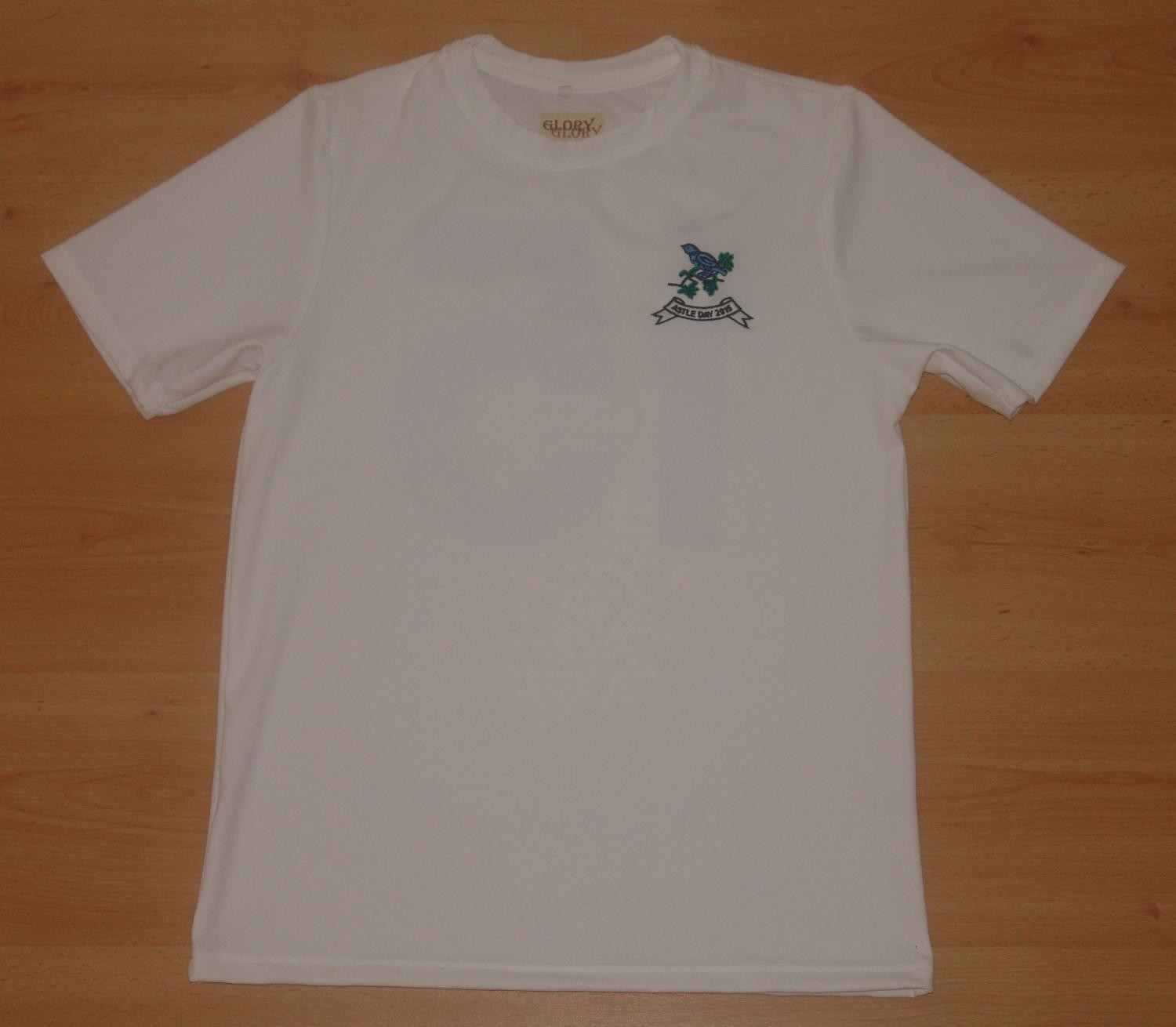 West Bromwich Albion 2014-15 Special Kit