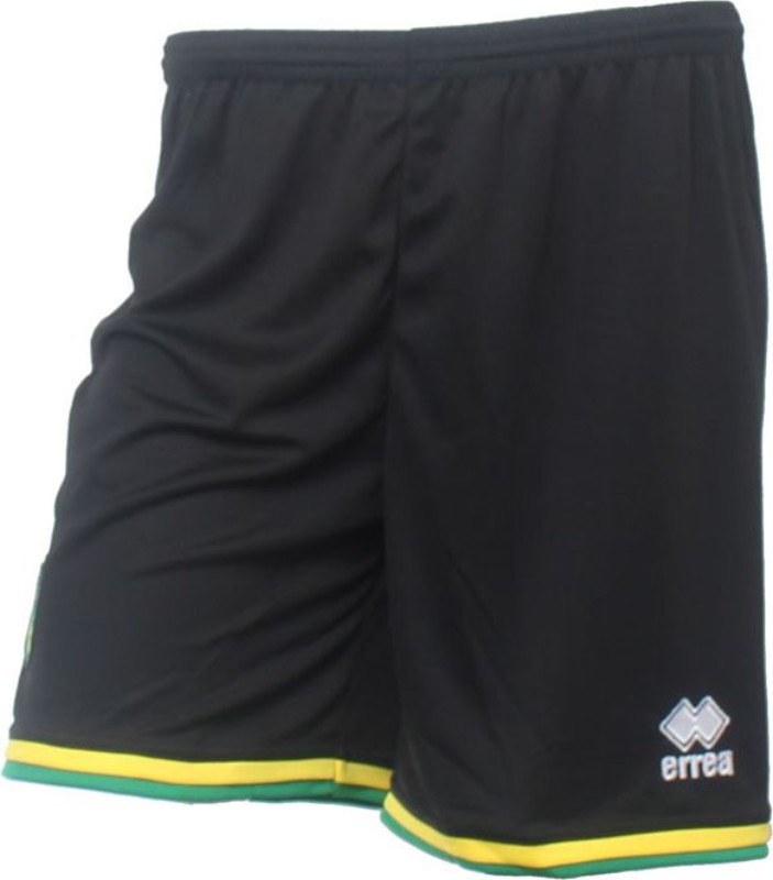 Norwich City 2015-16 Third Kit