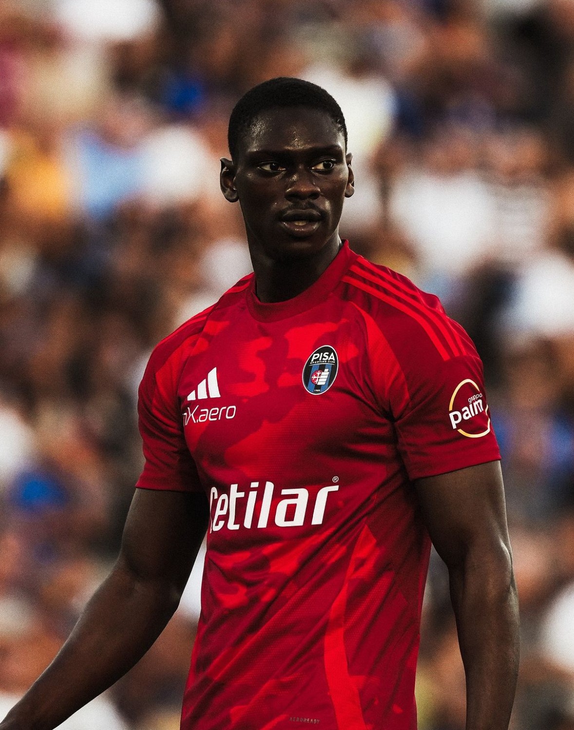 Pisa 2024-25 Away Kit