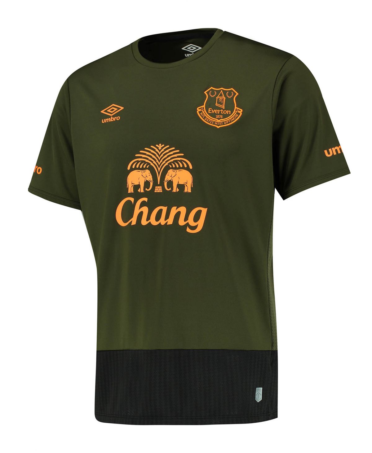 Everton FC 2015-16 Third Kit
