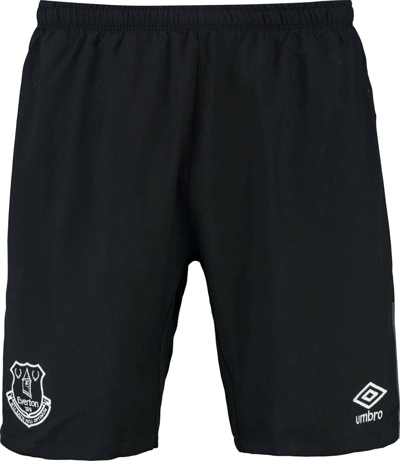 Everton FC 2015-16 GK Away Kit
