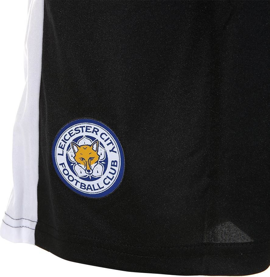 Leicester City 2015-16 Away Kit