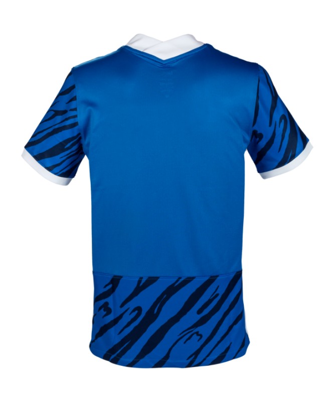 Hansa Rostock 2022-23 Home Kit