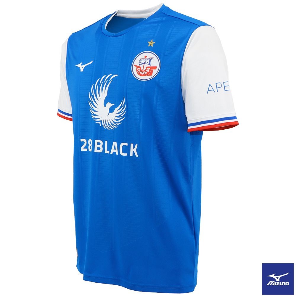 Hansa Rostock 2023-24 Home Kit